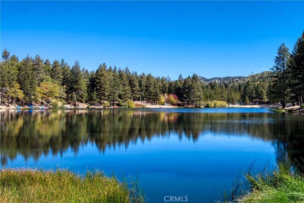 https://media.crmls.org/medias/92829c63-34e1-4596-9b4f-383df0497e8a.jpg?preset=X-Large
