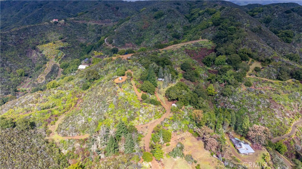 3395 Wallace Mountain Road