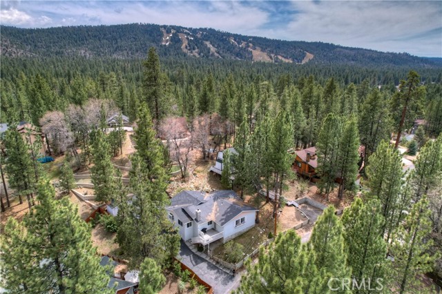 Detail Gallery Image 44 of 50 For 42377 Paramount Rd, Big Bear Lake,  CA 92315 - 4 Beds | 2 Baths