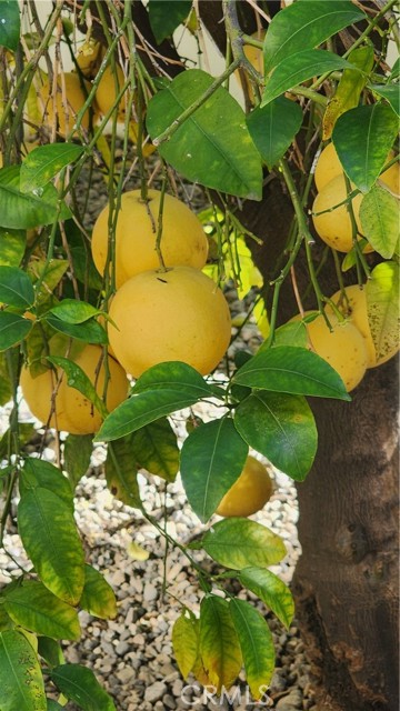 Detail Gallery Image 24 of 30 For 26573 Braddock Road, Menifee,  CA 92586 - 3 Beds | 2 Baths