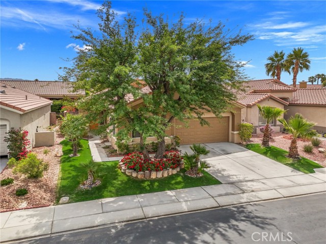 Detail Gallery Image 48 of 70 For 37388 Medjool, Palm Desert,  CA 92211 - 3 Beds | 3 Baths