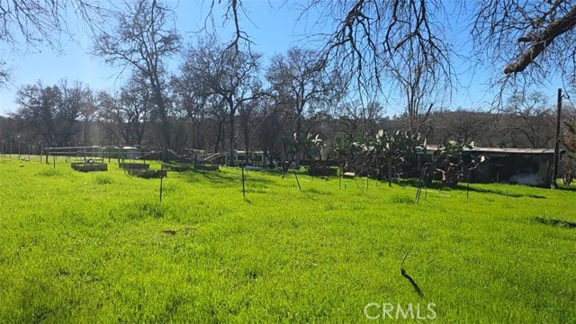 Detail Gallery Image 9 of 22 For 123 Rail Bridge Rd, Oroville,  CA 95966 - 1 Beds | 3 Baths