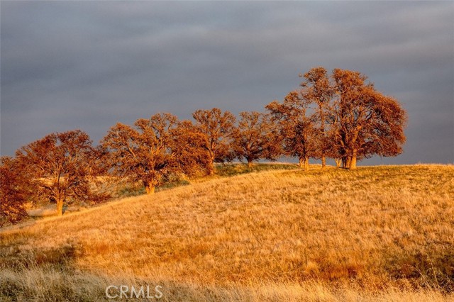 Detail Gallery Image 45 of 60 For 33101 Road 613, Raymond,  CA 93653 - 3 Beds | 2 Baths