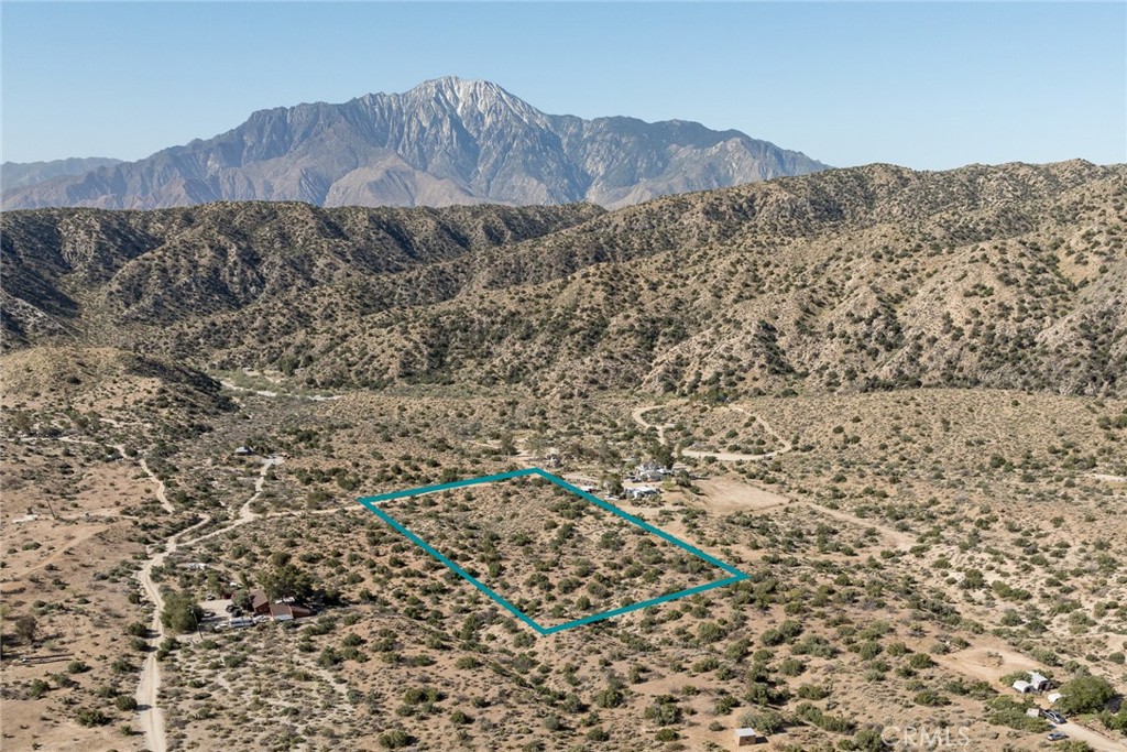 MLS #JT25265391 image #8