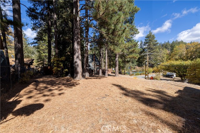 Detail Gallery Image 13 of 54 For 2242 Deep Creek Dr, Running Springs,  CA 92382 - 2 Beds | 2 Baths