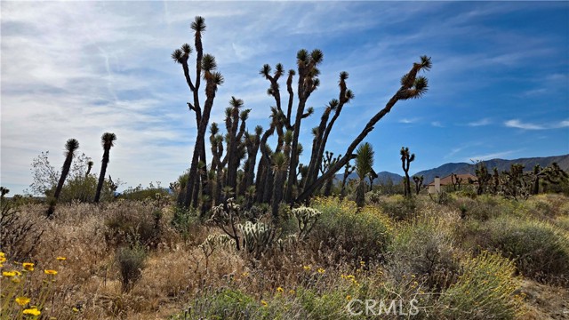 Detail Gallery Image 8 of 49 For 0 103rd St East Vicinity W14, –,  CA 93543 - – Beds | – Baths