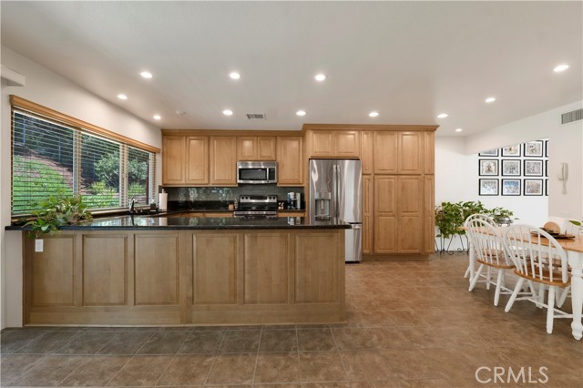 12453 Nugent Drive photo 6