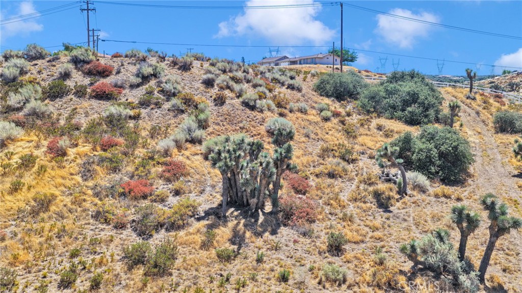 MLS #HD26190646 image #7