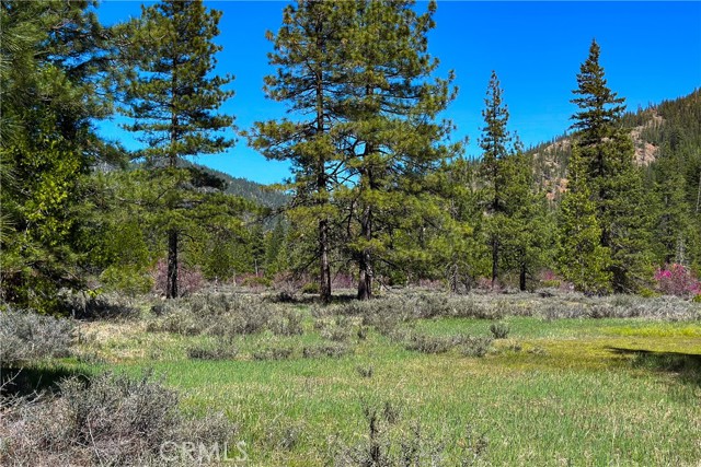 Detail Gallery Image 19 of 35 For 79402 State Highway 3, Trinity Center,  CA 96091 - – Beds | – Baths