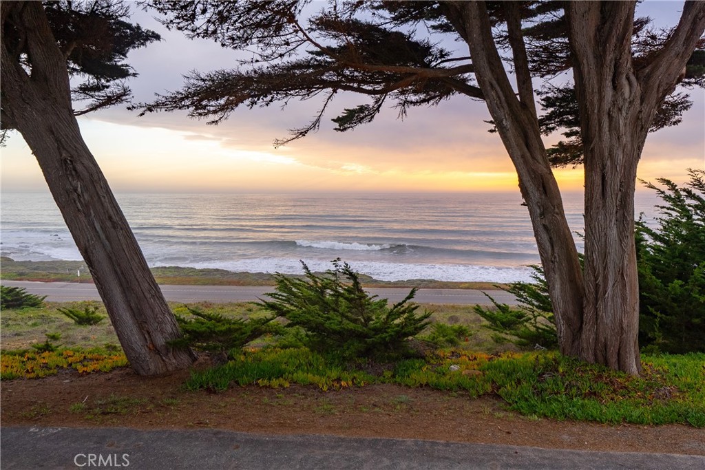 MLS #NS25047717 image #55