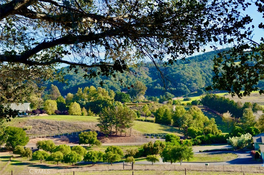 1195 Tiffany Ranch Road