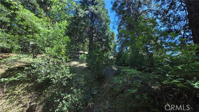 Detail Gallery Image 7 of 9 For 22496 Mojave River Rd, Cedarpines Park,  CA 92322 - – Beds | – Baths