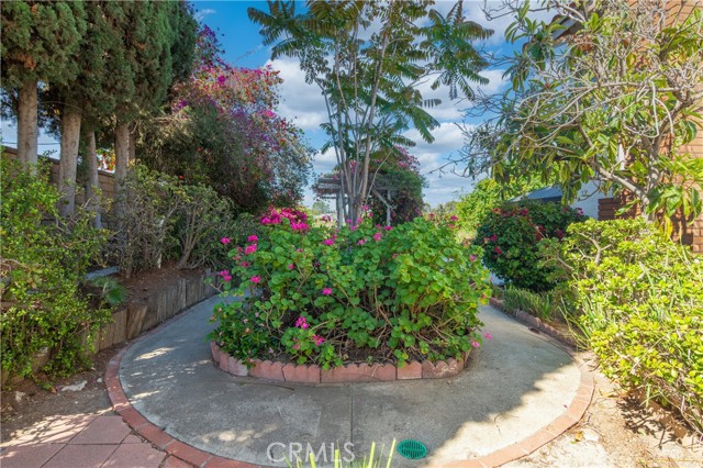 1305 Fairlance Drive, Walnut CA: https://media.crmls.org/medias/92ba1f25-7677-4262-bb59-12760967d709.jpg