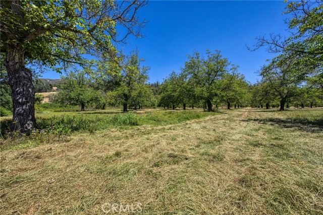 Detail Gallery Image 4 of 31 For 1286 Pitney Ln, Upper Lake,  CA 95485 - – Beds | – Baths