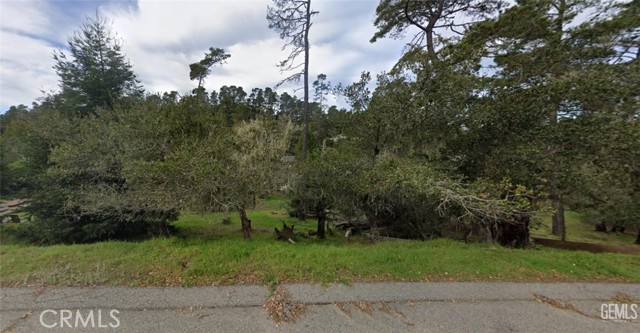 0 Orville Avenue, Cambria CA: https://media.crmls.org/medias/92c1475a-7461-4942-ae81-df8cb62bd830.jpg
