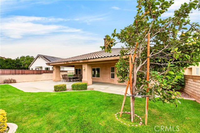 Property Photo 46