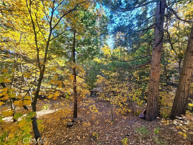 Front Image Thumbnail for CRHD25249241