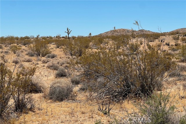 Detail Gallery Image 8 of 10 For 0 Willie Way, Joshua Tree,  CA 92252 - – Beds | – Baths