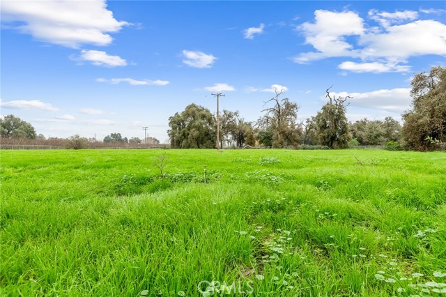 18701 Lort Drive, Visalia CA: https://media.crmls.org/medias/92c97ff3-2d6a-4e36-bbc4-99a2f05c3114.jpg