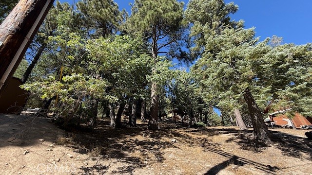 33112 Juniper Lane, Green Valley Lake CA: https://media.crmls.org/medias/92d32c14-486f-40cc-8354-b64973bd5d69.jpg