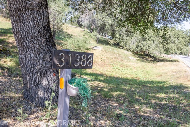 Detail Gallery Image 54 of 66 For 31388 Yosemite Springs Pkwy, Coarsegold,  CA 93614 - 3 Beds | 2 Baths