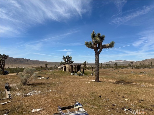 Detail Gallery Image 16 of 19 For 26705 Corwin, Apple Valley,  CA 92307 - – Beds | – Baths