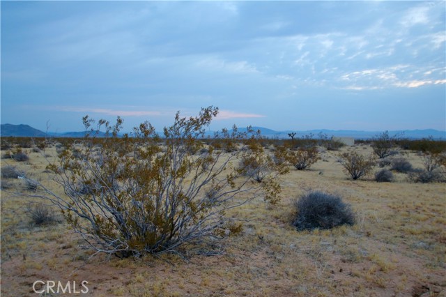 0 Venus Street, Joshua Tree CA: https://media.crmls.org/medias/92dc3a34-a8ca-4229-8a5a-7bec936f0f36.jpg