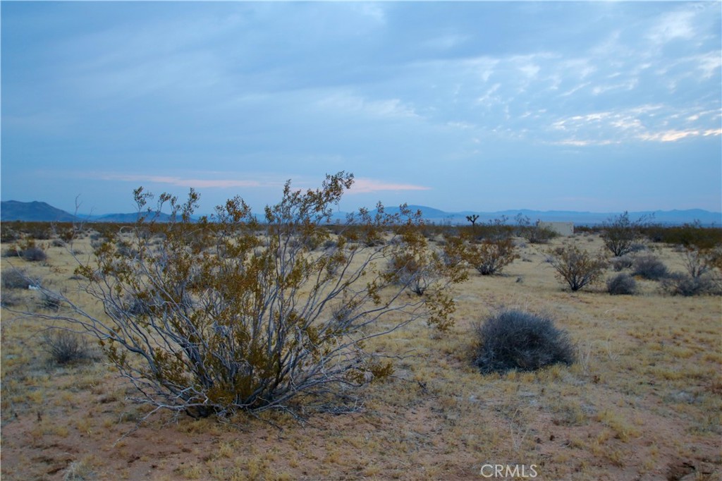 MLS #OC25148379 image #18