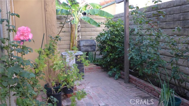 Other side of patio