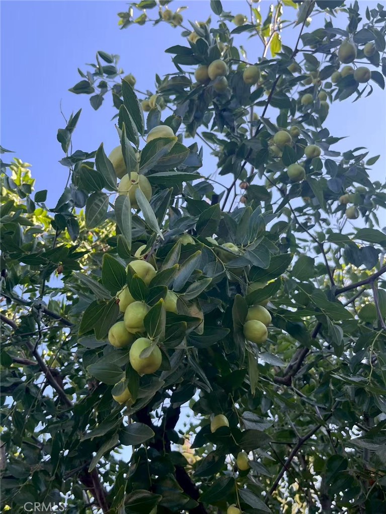 MLS #WS25271554 image #17