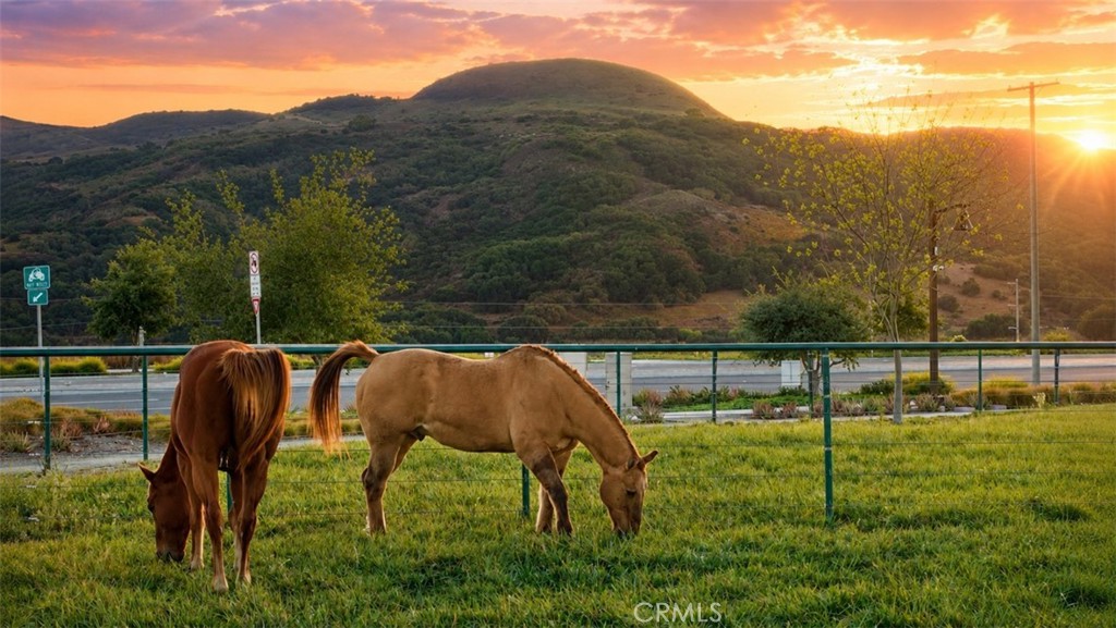 https://media.crmls.org/medias/92de2674-a612-492a-802b-4b183bd7d59d.jpg?preset=X-Large