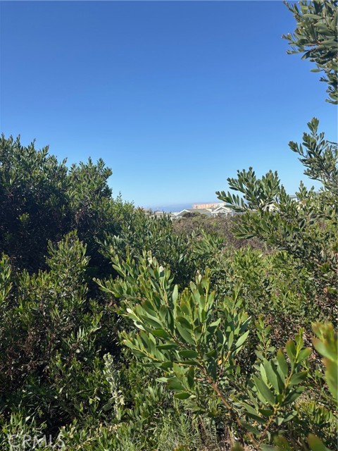 0 Smith Avenue, Oceano CA: https://media.crmls.org/medias/92de5a76-f220-4ef0-9f3e-a21241080cac.jpg