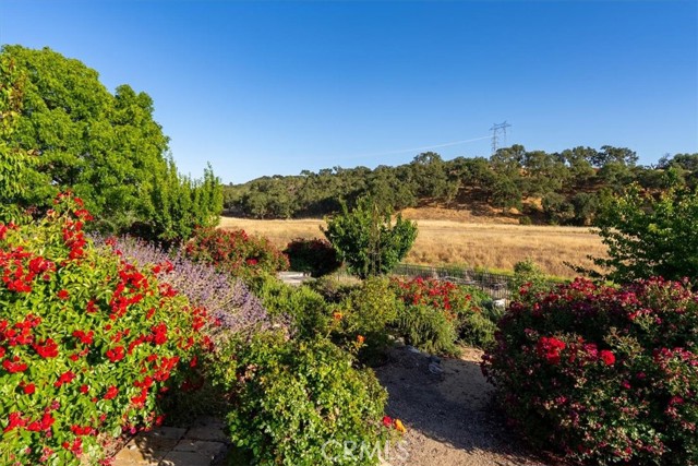 2035 Calle Pattito, Templeton CA: https://media.crmls.org/medias/92e436d9-6459-4fc7-8d11-cf31816e5305.jpg