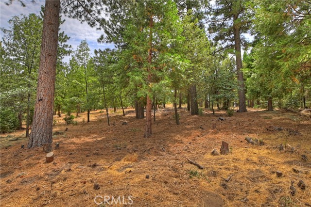 Detail Gallery Image 50 of 58 For 120 Pine Ridge Rd, Crestline,  CA 92325 - 4 Beds | 3/1 Baths