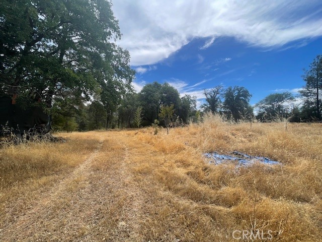 Detail Gallery Image 5 of 10 For 0 Grimont Rd, Oroville,  CA 95966 - – Beds | – Baths