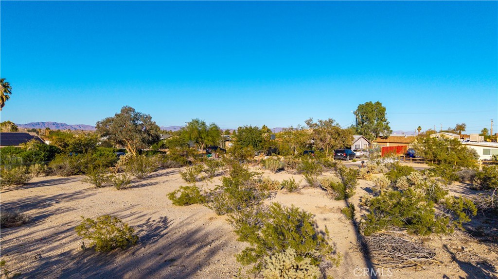 MLS #JT25246790 image #12