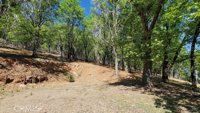 Detail Gallery Image 7 of 12 For 11890 Loch Lomond, Loch Lomond,  CA 95461 - – Beds | – Baths