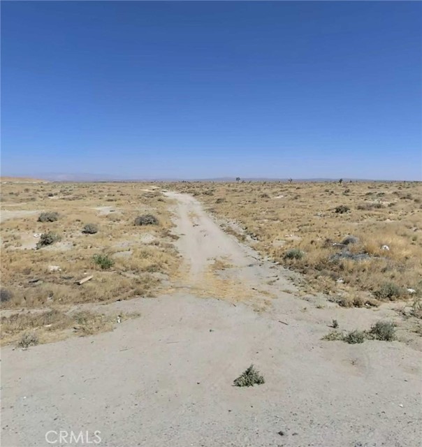 Front Image Thumbnail for CRPI25249991