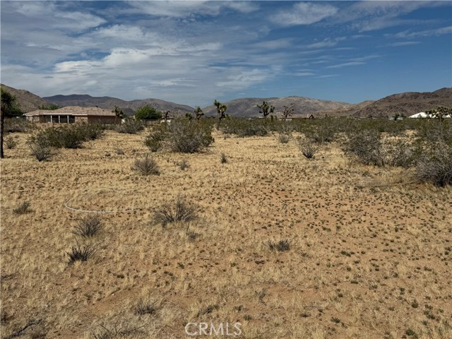 Detail Gallery Image 5 of 32 For 0 Japatul Rd, Apple Valley,  CA 92307 - – Beds | – Baths