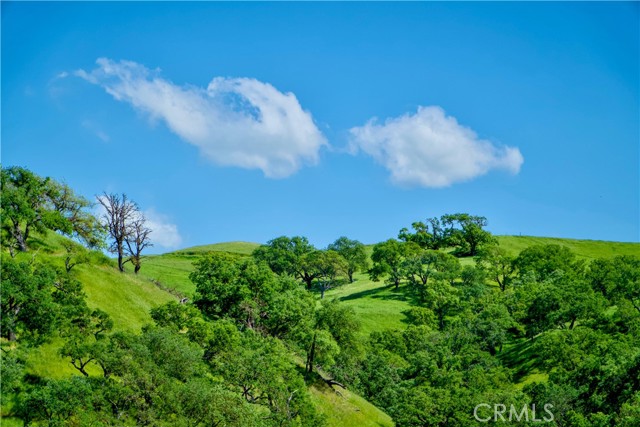 Detail Gallery Image 14 of 14 For 29300 Horsethief Dr, Tehachapi,  CA 93561 - 3 Beds | 2 Baths