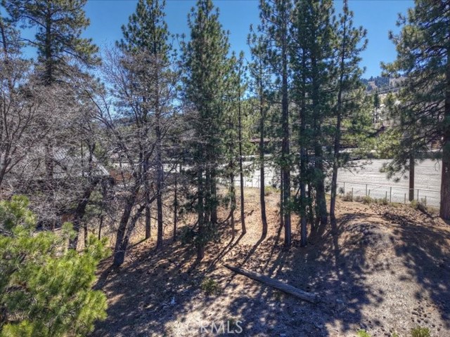 Detail Gallery Image 14 of 21 For 41711 Swizterland, Big Bear Lake,  CA 92315 - – Beds | – Baths