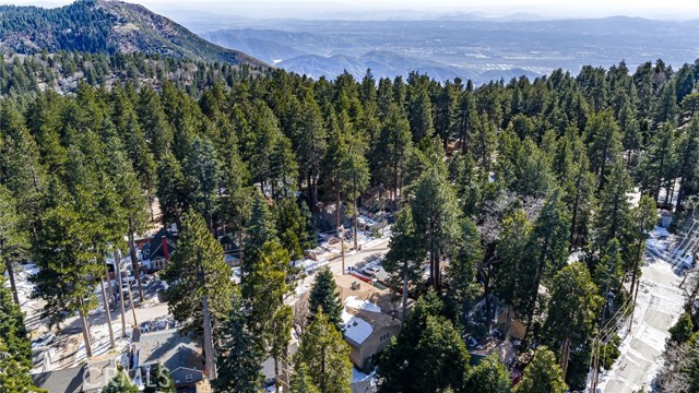 Image 41 of 46 For 31686 Luring Pines Circle