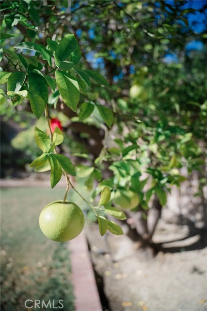 Detail Gallery Image 5 of 30 For 23035 Cecelia, Mission Viejo,  CA 92691 - 4 Beds | 3 Baths