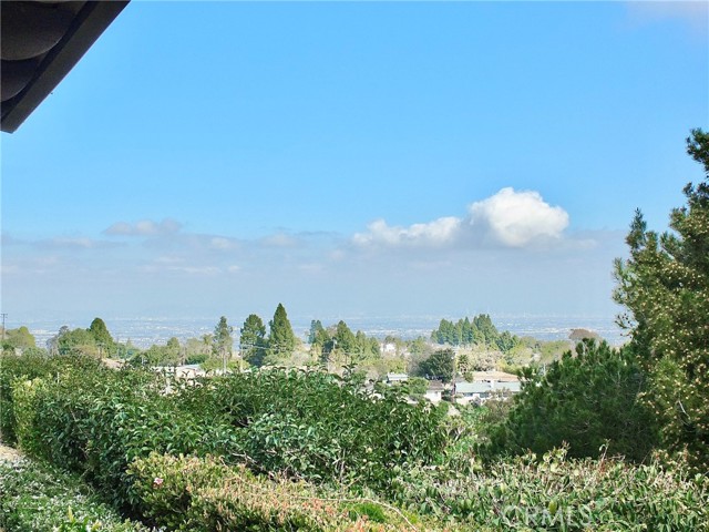 3 Avocado Lane, Rolling Hills Estates, California 90274, 2 Bedrooms Bedrooms, ,2 BathroomsBathrooms,Residential,Sold,Avocado,PW23025359
