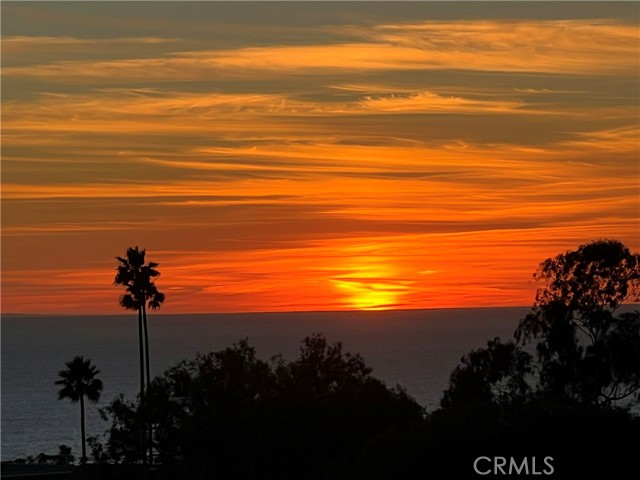 Detail Gallery Image 51 of 51 For 117 Calle Cuervo, San Clemente,  CA 92672 - 2 Beds | 1/1 Baths