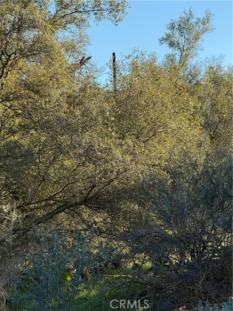 Detail Gallery Image 25 of 25 For 0 Long Hollow Lot 1631, Coarsegold,  CA 93614 - – Beds | – Baths