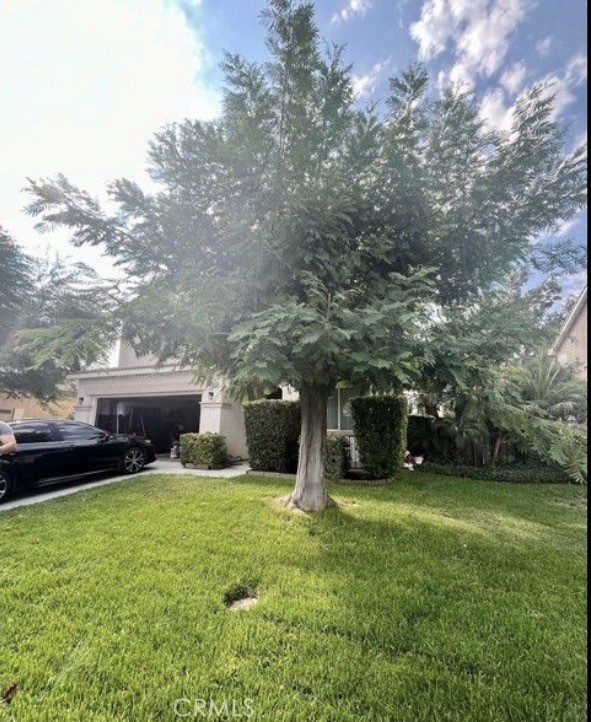 Front Image Thumbnail for CRSW26179069