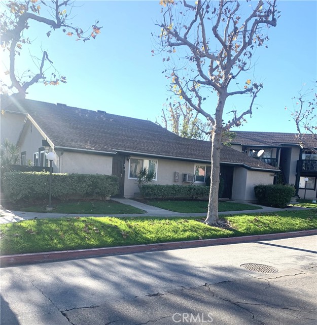 Front Image Thumbnail for CROC25271815