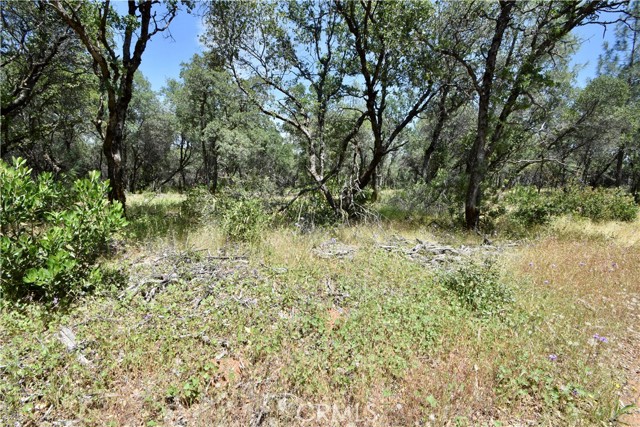 0 Mackey Court, Oroville CA: https://media.crmls.org/medias/931c763c-a650-424c-bd94-03b6bf621cd3.jpg