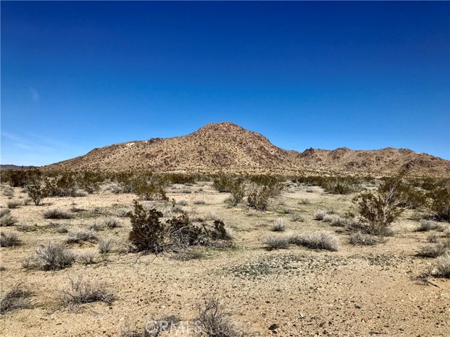0 Palomino Road, Helendale CA: https://media.crmls.org/medias/931cb759-1e2e-43ec-9d06-b42f320e3c76.jpg